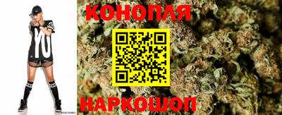 гидропоника Балаково