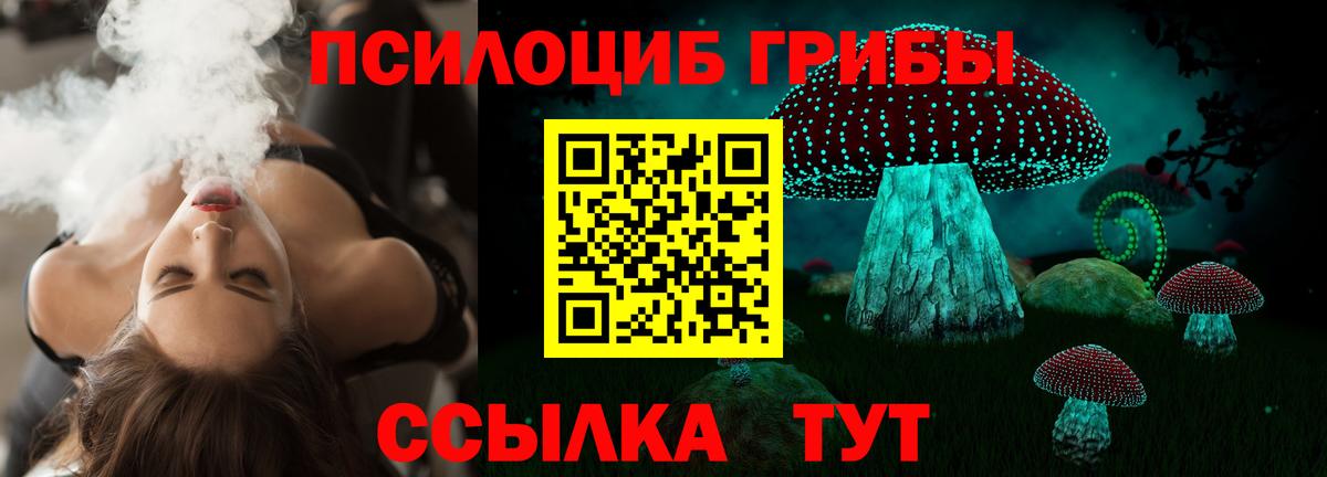 Воткинск  Псилоцибиновые грибы Psilocybine cubensis  Вход с VPN 
