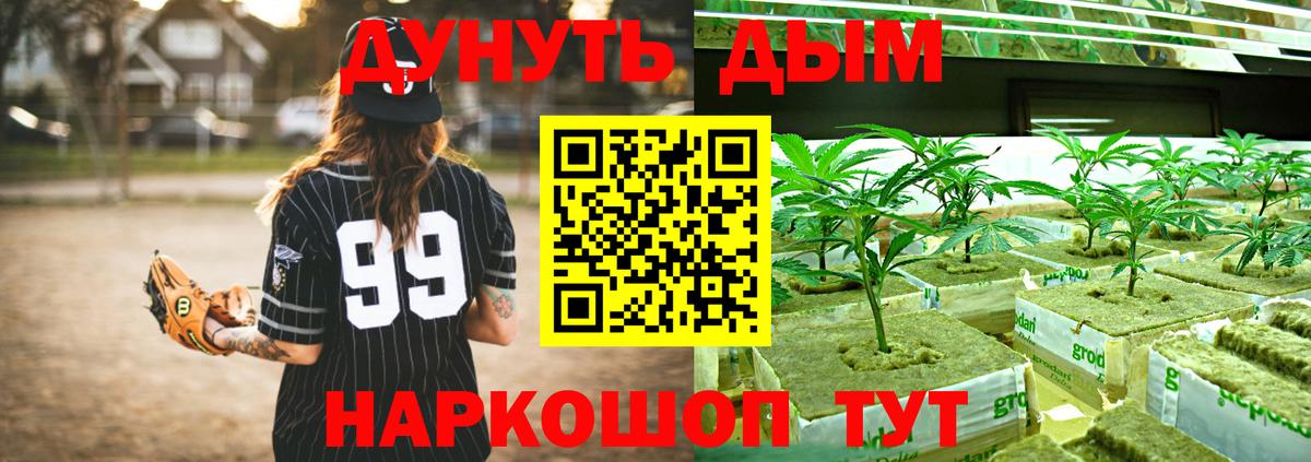 Бошки Шишки SATIVA & INDICA  Марихуана Bruce Banner  Вход с VPN  Каннабис сатива  Воткинск 